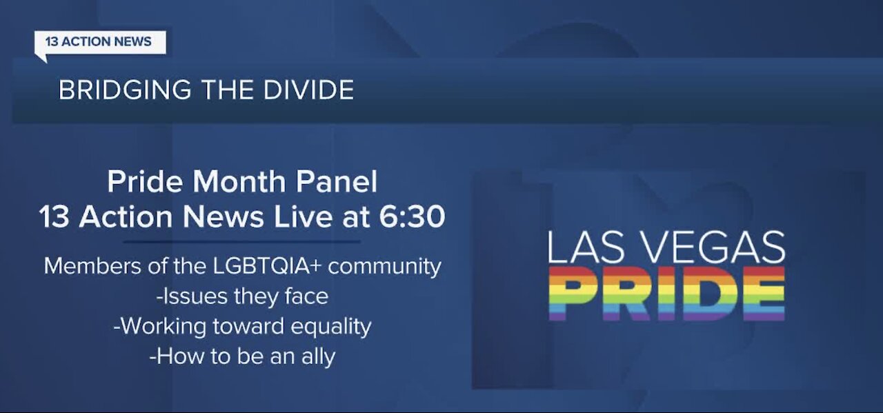 Pride Month Panel on 13 Actions News