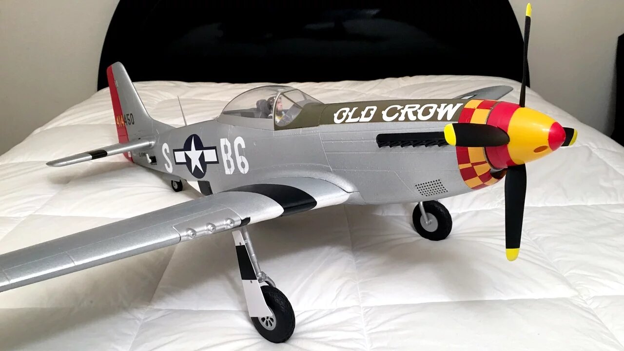 Unboxing and Review - Eleven Hobby P-51 Mustang WWII Warbird RC Plane