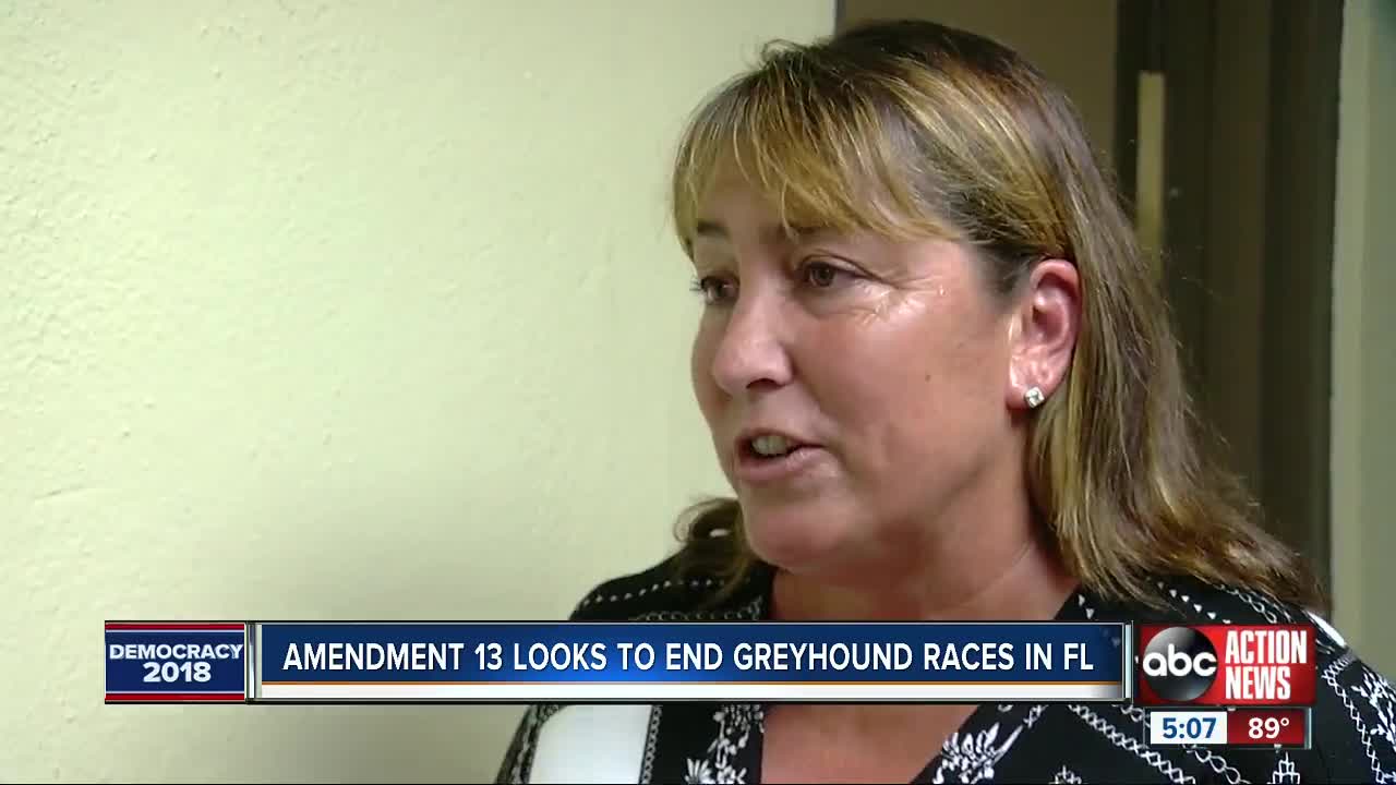 Amendment 13 proponents cite dog injuries as reason to ban greyhound racing in Florida