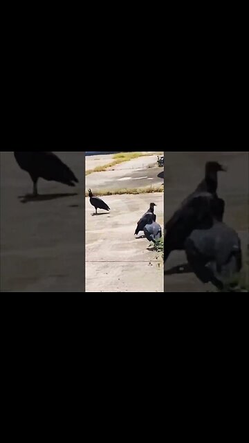 it's just a little joke... 👀 #problemsolving #realestate #rei #construction #beblessedblessothers