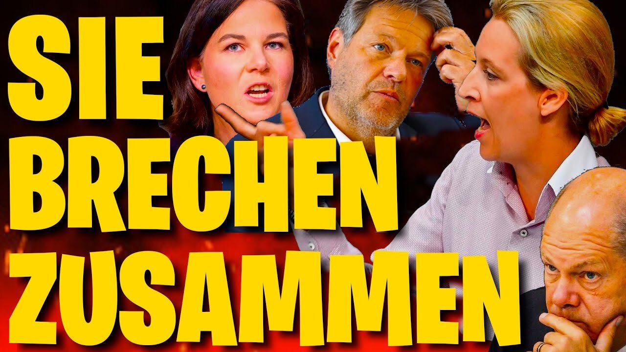 JETZT KOLLABIEREN SIE ! ALICE WEIDEL@ANDREAS POPP🙈🐑🐑🐑 COV ID1984