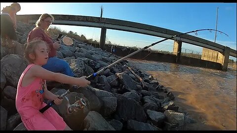 Catching prehistoric fish at a raging spillway