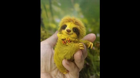 Cute and Adorable Baby Sloths