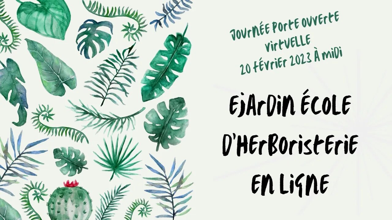 Journée porte ouverte virtuelle 20 février 2023 à midi