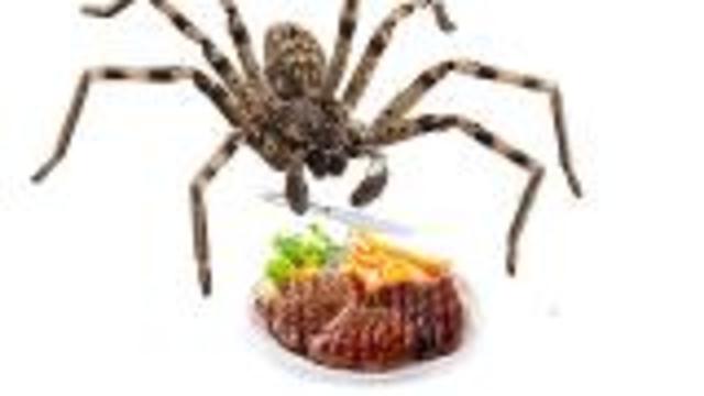 Spider Reclassified as Omnivore