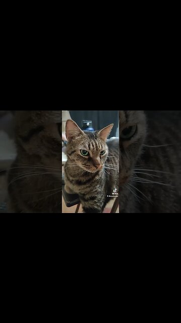 He Was Subtle About It