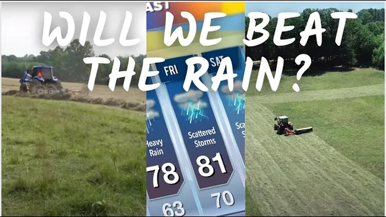 Race Against Rain: Will We Make It? | Three Little Goats Homestead Vlog