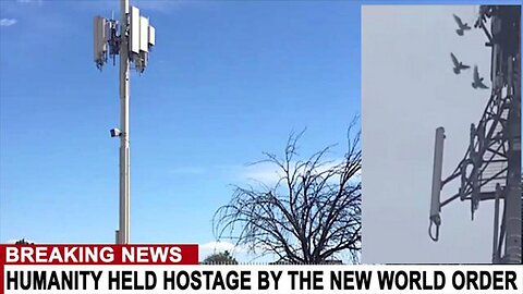 Alien.Wars: 5G Is Fucking Killing Millions Of Birds World Wide! [15.04.2024]