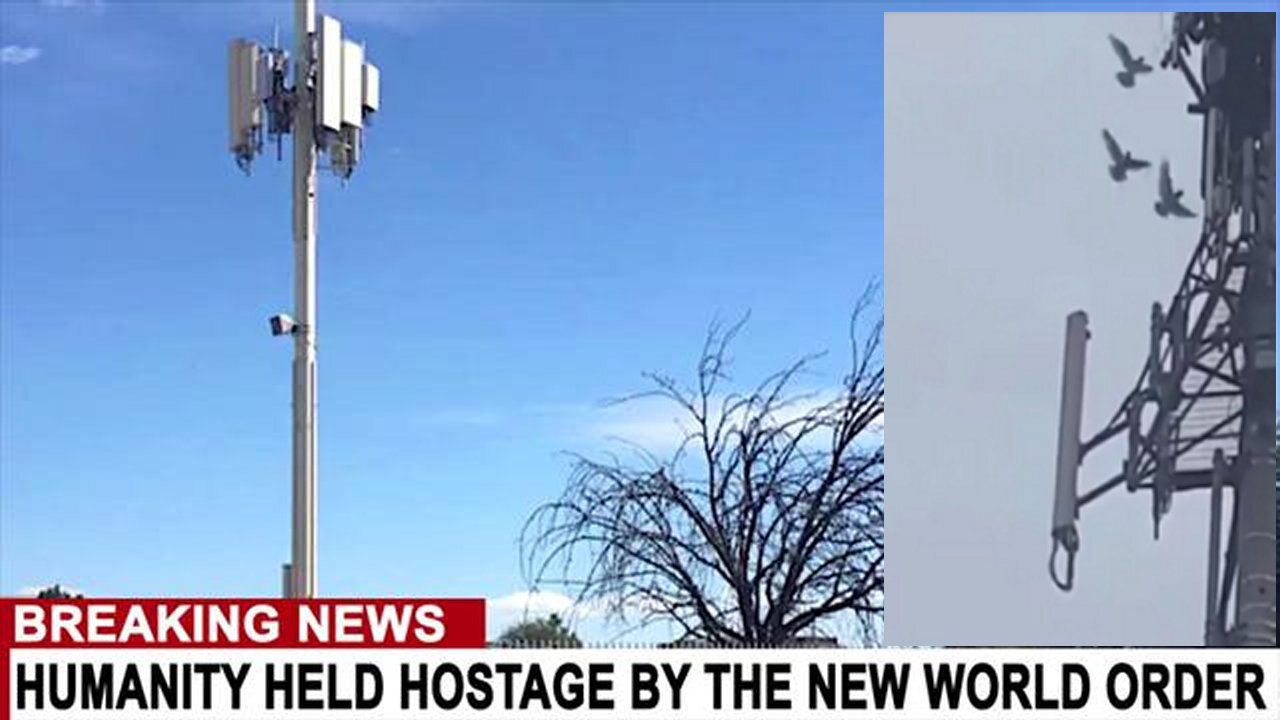 Alien.Wars: 5G Is Fucking Killing Millions Of Birds World Wide! [15.04.2024]