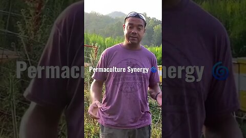 Permaculture in Action #shorts #tips #gardening #homesteading