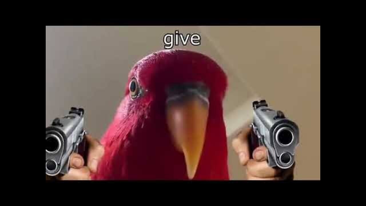 Red Bird meme || Red Bird give meme