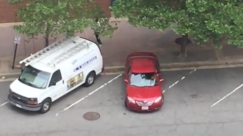 Driver attempts reverse-angle parking for 5 minutes