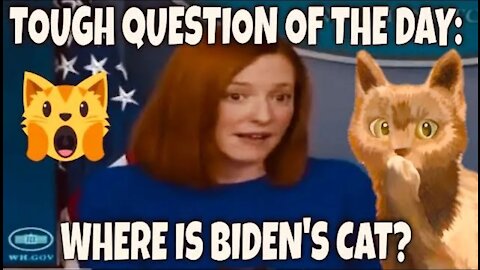 Hard-Hitting Media Question of the Day that Jen Psaki will Circle Back on: STATUS on Biden's CAT