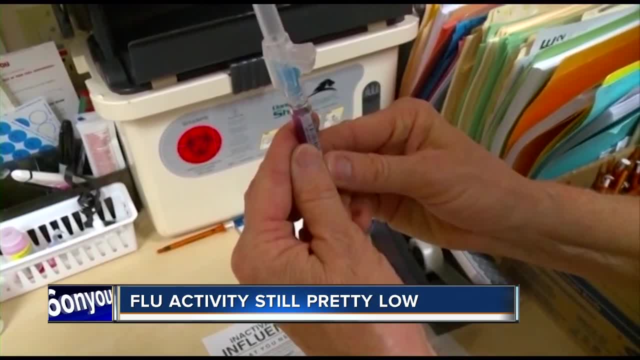 Flu activity still low in late October