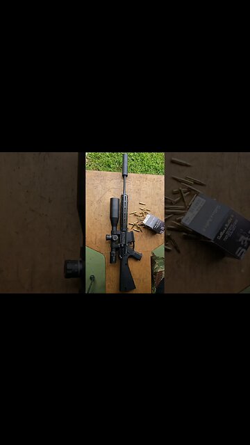 Suppressed WWSD rifle ASMR