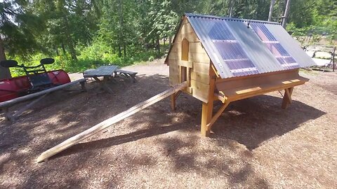 Clean egg chicken coop.