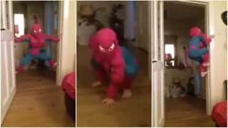 The real Spider-Man is an Irish kid