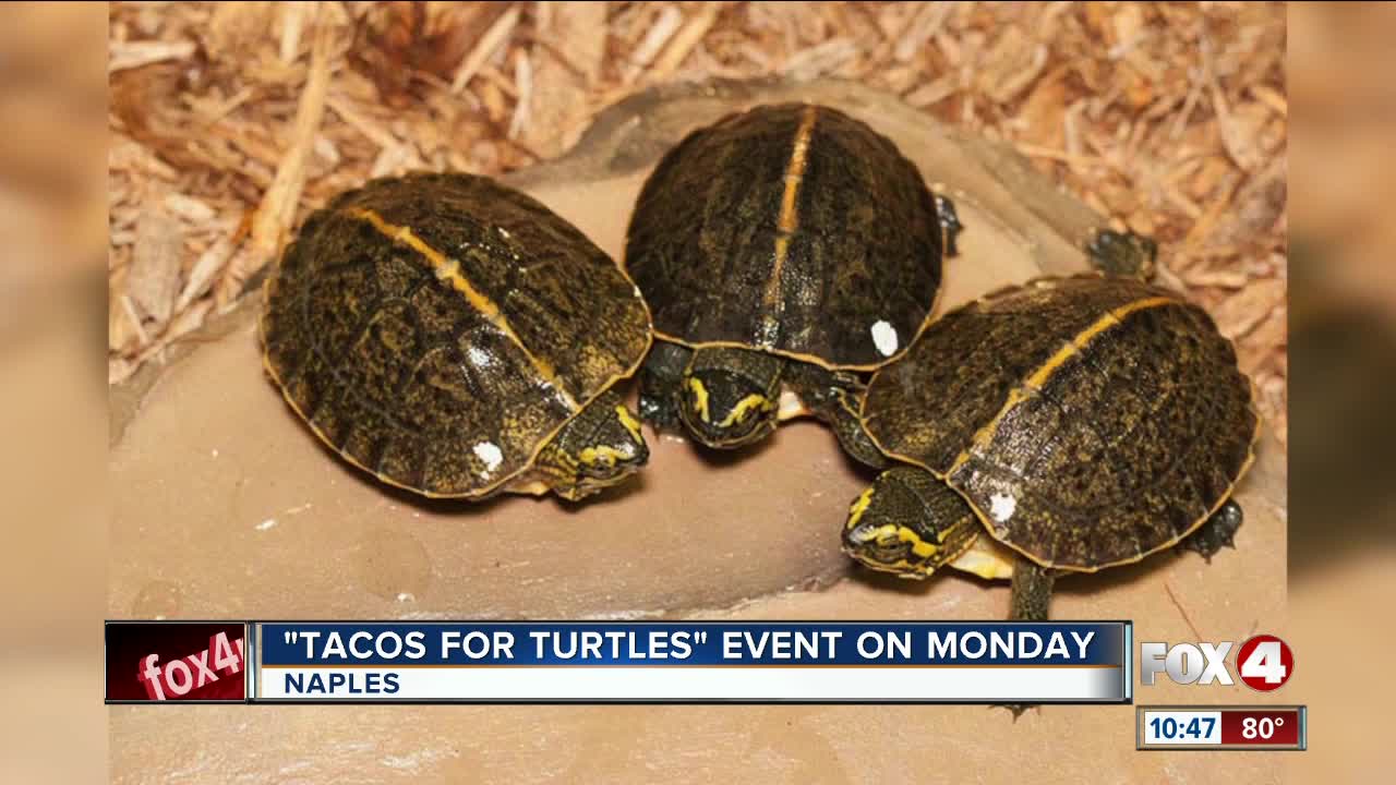 Tacos for Turtles event on Monday