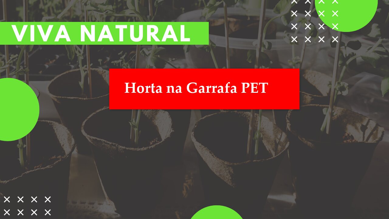 Video03 - Vegetable garden at home for beginners - Lettuce in PET Bottle / Video03 - Horta em casa iniciante - Alface em Garrafa PET