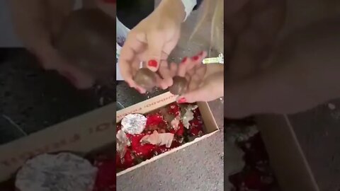 Petistas querendo matar os manifestantes