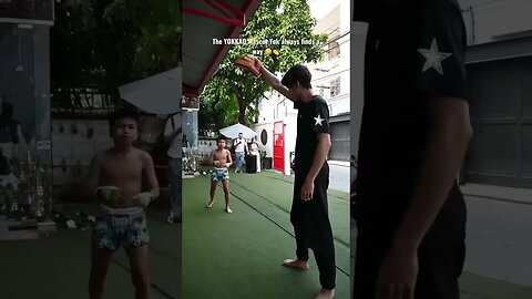 The YOKKAO Mascot Yok always finds a way 🤣👏#shorts