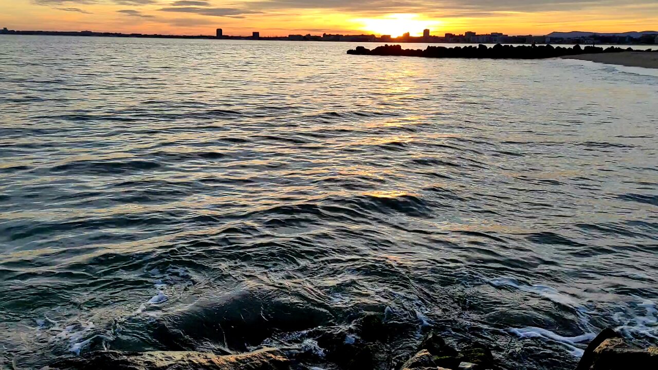 Diario bulgaro 81 - Moratoria inoculatoria