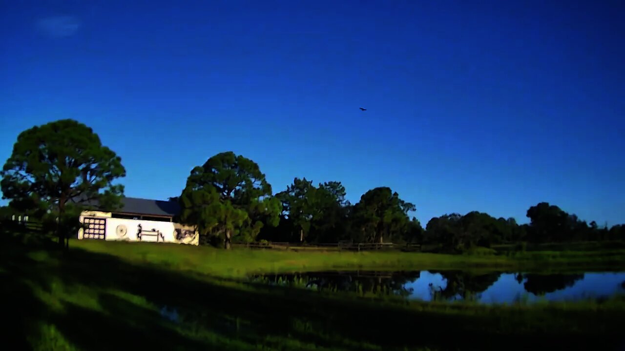 Venus Ranch and our resident Sandhill Cranes.