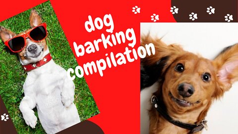 TOP 10 dog barking videos compilation 2016 ♥ Dog barking sound - Funny dogs