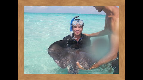 Stingray Closed Encountered