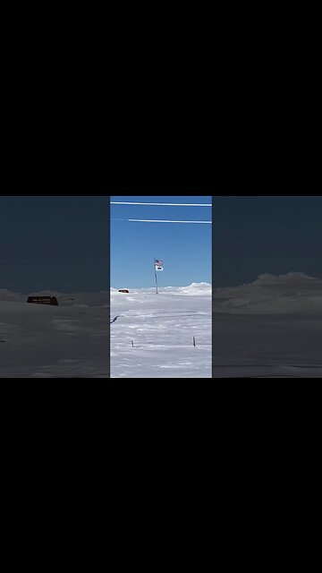 🤘🏻🇺🇸🤘🏻#shorts