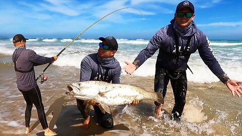 KOB FISHING WITH LIVE MULLET. Caught some bycatches too!