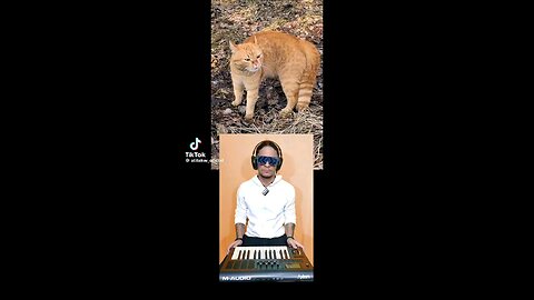 😺😺😺😺😺😺