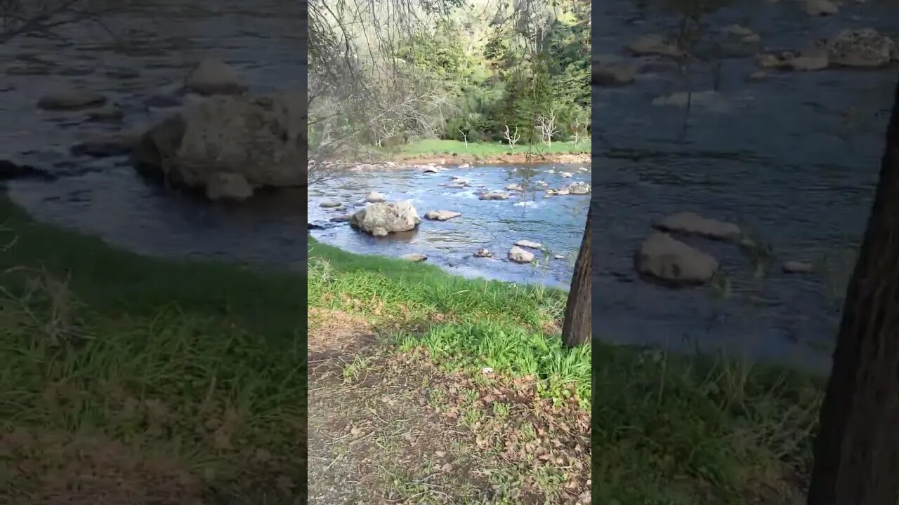 Karangahake Gorge