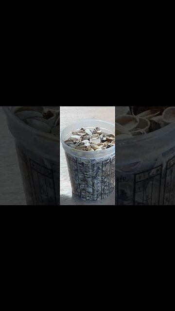 Pistachio shell #shorts #epoxy #woodworking #handmade