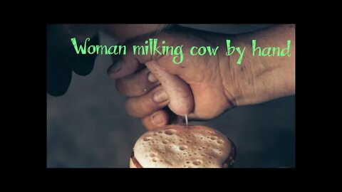 Woman milking best cow 🐄 by hand village life style, #short ,#cow,#hand, #best cow milking, #animal