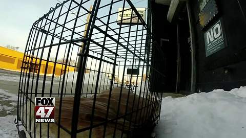 Dog left out in cold on Michigan shelter steps