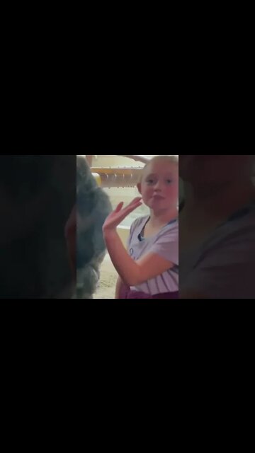 Funny Gorilla #shorts #animals