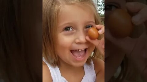 Our Little Homestead Helper Opens A Fairy Egg #short #shorts
