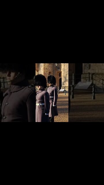 Can this guard get any higher #toweroflondon