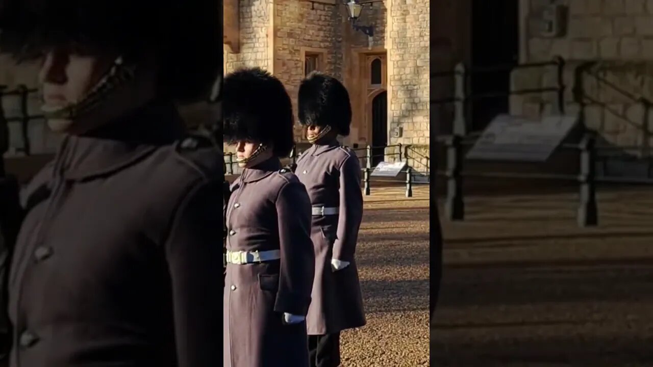 Can this guard get any higher #toweroflondon