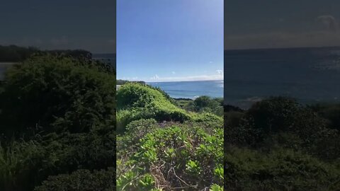 KALAELOA SAND DUNE FROM MA￼KAHŪʻENA