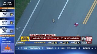 21-year-old skateboarder killed by hit-and-run driver in Manatee County