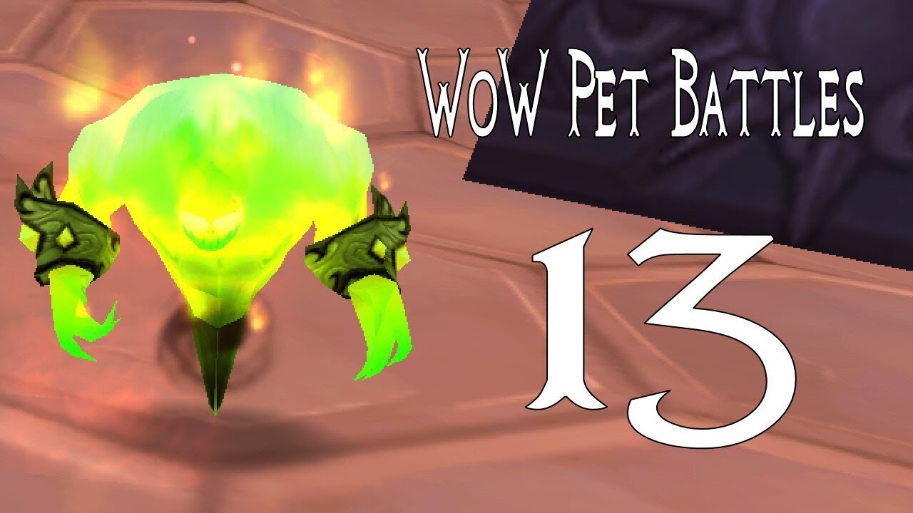 World of Warcraft Pet Battles 13 - Northrend Master Trainer