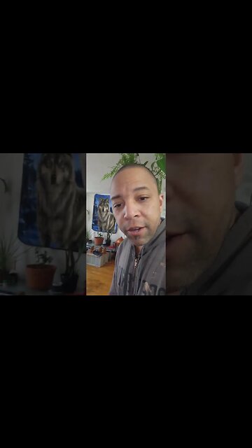 Black Earth Soil & Badwolf Down Time!