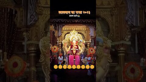 🌼Ganpati Bappa Morya🌼