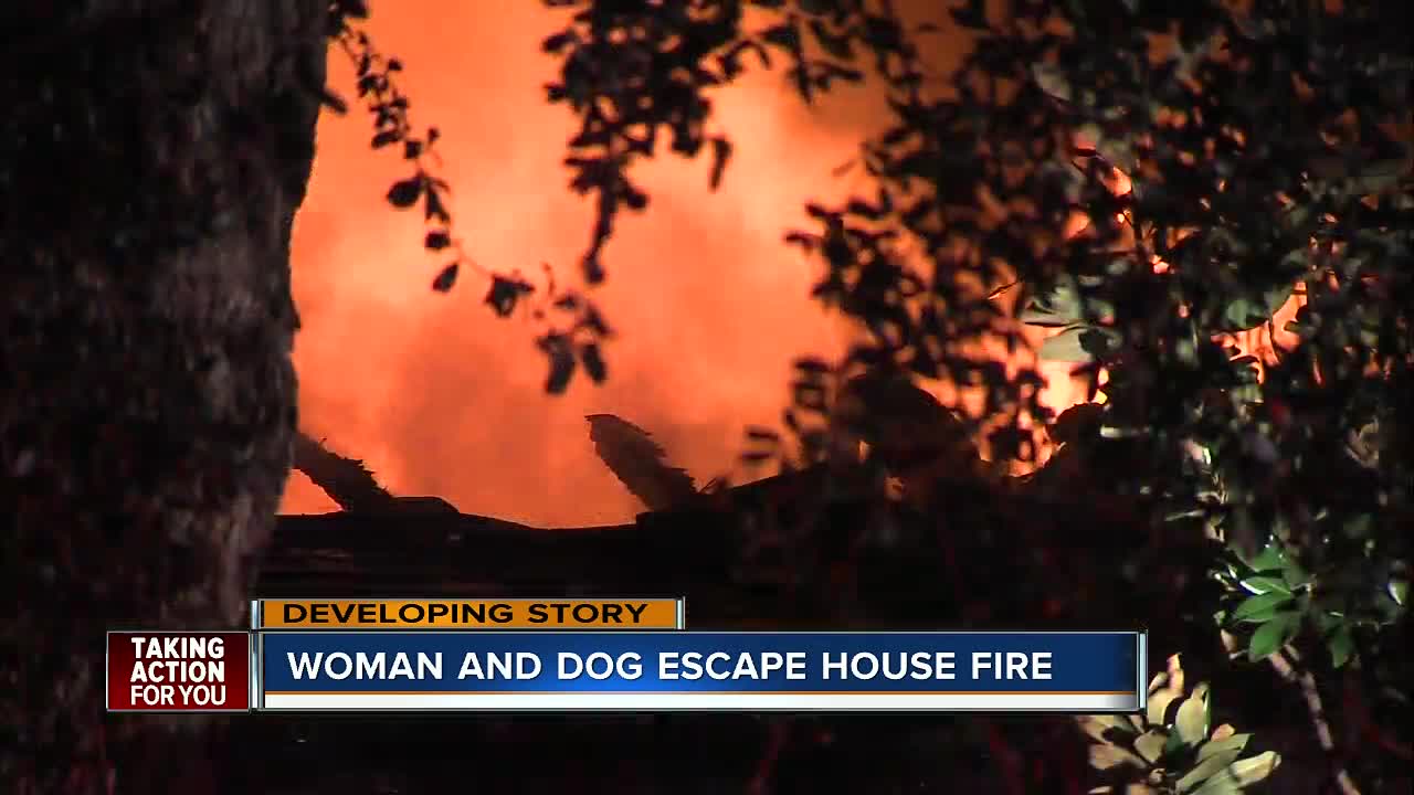 Woman and dog escape house fire in Citrus Park