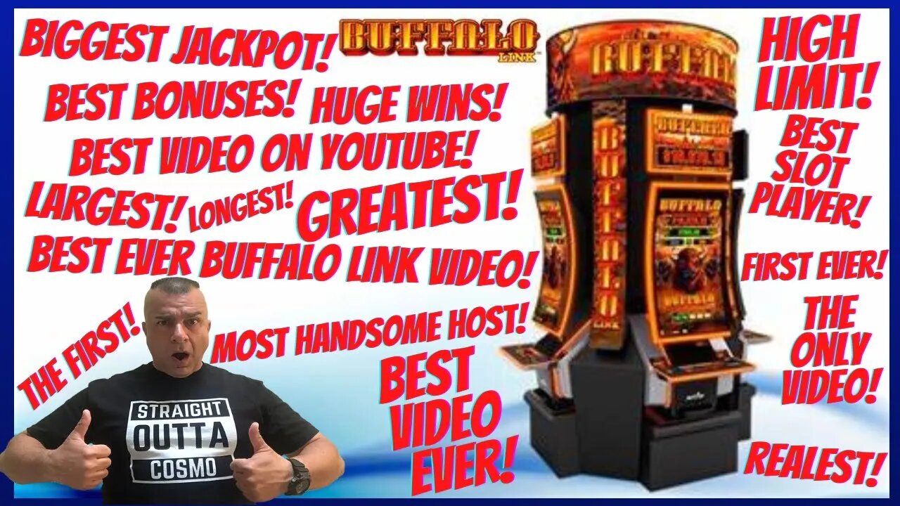 💥Biggest/BEST BUFFALO LINK Video On YouTube! Also the: Longest, Highest, Friendliest, First, Last