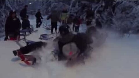 Sledding ends in a hilarious pileup