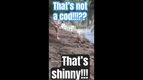 https://www.youtube.com/@Seymoursfishingadventures