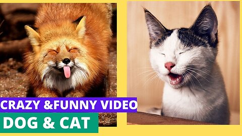 Crazy & funny animals #shorts